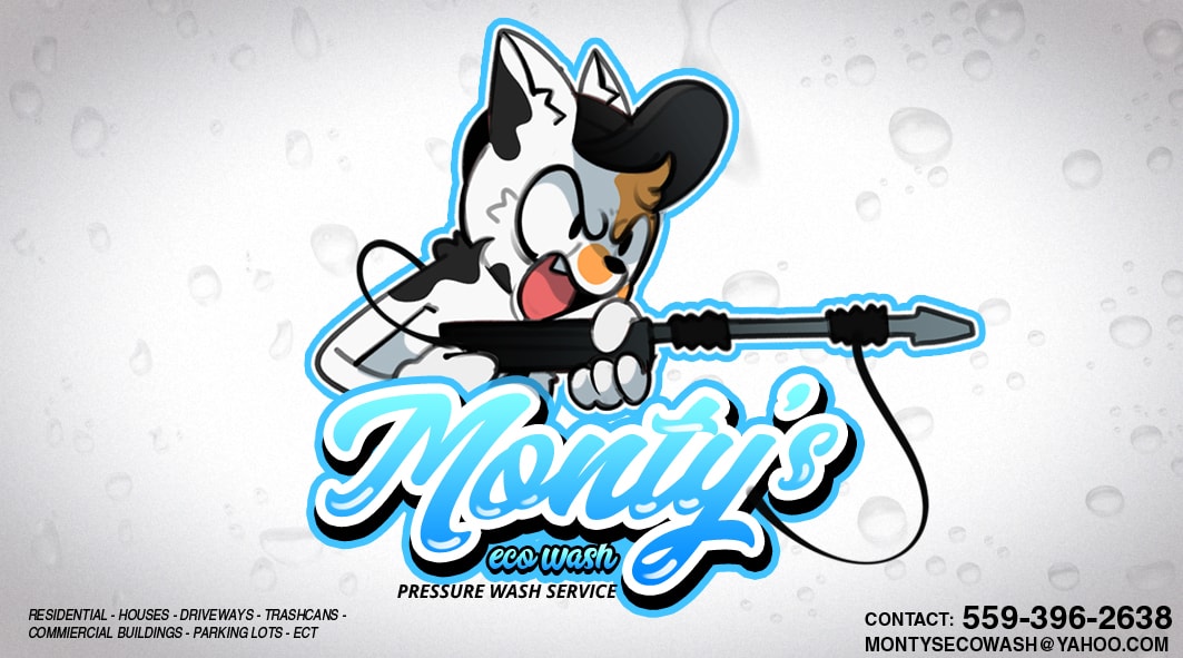 Monty's Eco Wash — Pressure Wash Logo